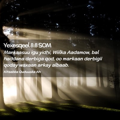Picture 02 - Yexesqeel 8:8 SOM - Markaasuu igu yidhi, Wiilka Aadamow, bal haddana - Bible Verse Picture