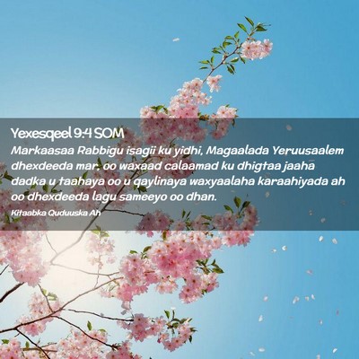 Picture 02 - Yexesqeel 9:4 SOM - Markaasaa Rabbigu isagii ku yidhi, Magaalada - Bible Verse Picture