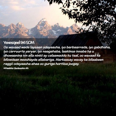 Picture 02 - Yexesqeel 9:6 SOM - Oo waxaad wada laysaan odayaasha, iyo - Bible Verse Picture