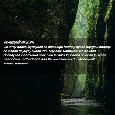 Picture 02 - Yexesqeel 9:8 SOM - Oo intay dadka laynayeen oo aan anigu hadhay - Bible Verse Picture