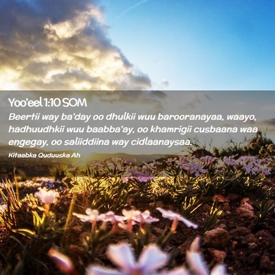 Picture 02 - Yoo'eel 1:10 SOM - Beertii way ba'day oo dhulkii wuu barooranayaa, - Bible Verse Picture