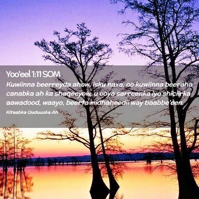 Picture 02 - Yoo'eel 1:11 SOM - Kuwiinna beerreyda ahow, isku naxa, oo kuwiinna - Bible Verse Picture