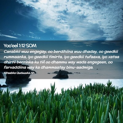 Picture 02 - Yoo'eel 1:12 SOM - Canabkii wuu engegay, oo berdihiina wuu dhaday, - Bible Verse Picture