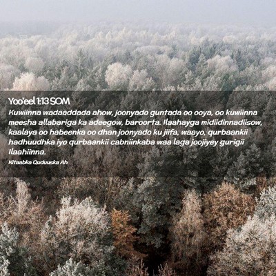Picture 02 - Yoo'eel 1:13 SOM - Kuwiinna wadaaddada ahow, joonyado guntada oo - Bible Verse Picture