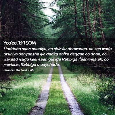 Picture 02 - Yoo'eel 1:14 SOM - Haddaba soon naadiya, oo shir ku dhawaaqa, oo soo - Bible Verse Picture