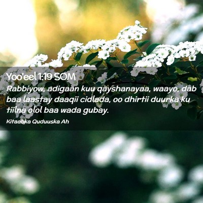 Picture 02 - Yoo'eel 1:19 SOM - Rabbiyow, adigaan kuu qayshanayaa, waayo, dab baa - Bible Verse Picture