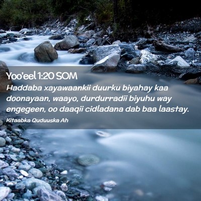 Picture 02 - Yoo'eel 1:20 SOM - Haddaba xayawaankii duurku biyahay kaa doonayaan, - Bible Verse Picture