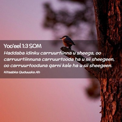 Picture 02 - Yoo'eel 1:3 SOM - Haddaba idinku carruurtiinna u sheega, oo - Bible Verse Picture