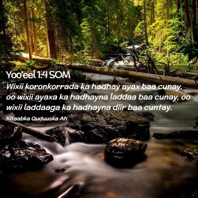 Picture 02 - Yoo'eel 1:4 SOM - Wixii koronkorrada ka hadhay ayax baa cunay, oo - Bible Verse Picture