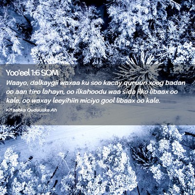 Picture 02 - Yoo'eel 1:6 SOM - Waayo, dalkaygii waxaa ku soo kacay quruun xoog - Bible Verse Picture