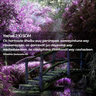 Picture 02 - Yoo'eel 2:10 SOM - Oo hortooda dhulku wuu gariirayaa, samooyinkuna - Bible Verse Picture