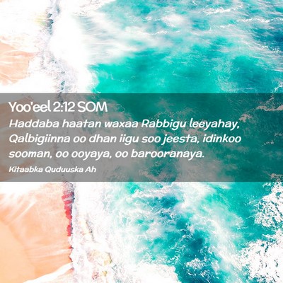 Picture 02 - Yoo'eel 2:12 SOM - Haddaba haatan waxaa Rabbigu leeyahay, - Bible Verse Picture