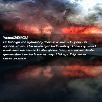 Picture 02 - Yoo'eel 2:19 SOM - Oo Rabbigu waa u jawaabay dadkiisii oo wuxuu ku - Bible Verse Picture