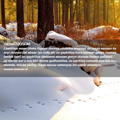Picture 02 - Yoo'eel 2:20 SOM - Laakiinse waan idinka fogayn doonaa ciidanka - Bible Verse Picture