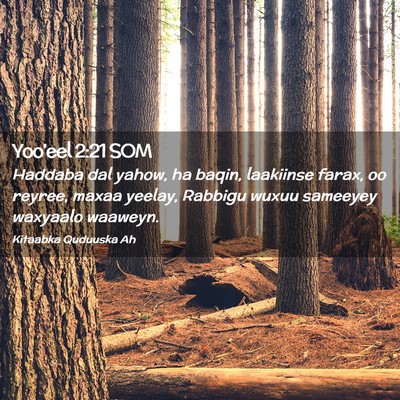 Picture 02 - Yoo'eel 2:21 SOM - Haddaba dal yahow, ha baqin, laakiinse farax, oo - Bible Verse Picture