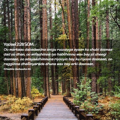 Picture 02 - Yoo'eel 2:28 SOM - Oo markaas dabadeedna anigu ruuxayga ayaan ku - Bible Verse Picture