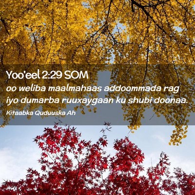 Picture 02 - Yoo'eel 2:29 SOM - oo weliba maalmahaas addoommada rag iyo dumarba - Bible Verse Picture