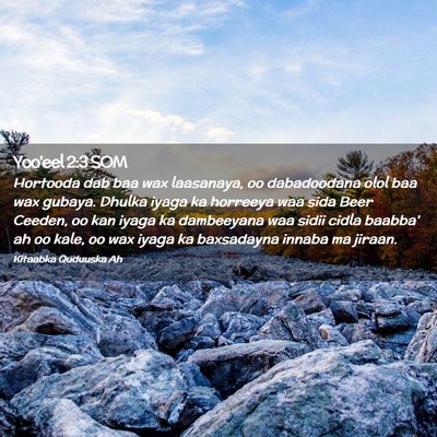 Picture 02 - Yoo'eel 2:3 SOM - Hortooda dab baa wax laasanaya, oo dabadoodana - Bible Verse Picture