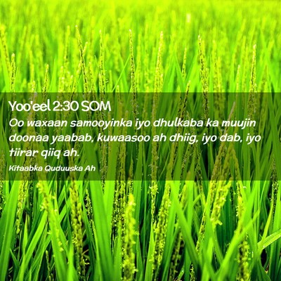 Picture 02 - Yoo'eel 2:30 SOM - Oo waxaan samooyinka iyo dhulkaba ka muujin - Bible Verse Picture