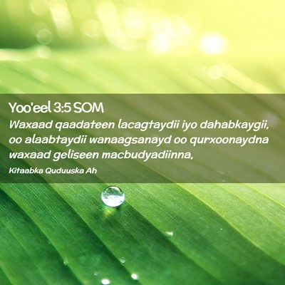 Picture 02 - Yoo'eel 3:5 SOM - Waxaad qaadateen lacagtaydii iyo dahabkaygii, oo - Bible Verse Picture