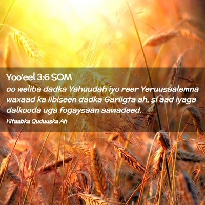 Picture 02 - Yoo'eel 3:6 SOM - oo weliba dadka Yahuudah iyo reer Yeruusaalemna - Bible Verse Picture