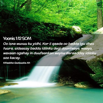 Picture 02 - Yoonis 1:12 SOM - Oo isna wuxuu ku yidhi, Kor ii qaada oo badda igu - Bible Verse Picture
