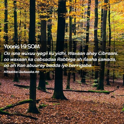 Picture 02 - Yoonis 1:9 SOM - Oo isna wuxuu iyagii ku yidhi, Waxaan ahay - Bible Verse Picture