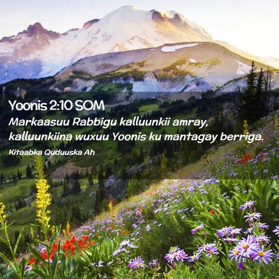 Picture 02 - Yoonis 2:10 SOM - Markaasuu Rabbigu kalluunkii amray, kalluunkiina - Bible Verse Picture