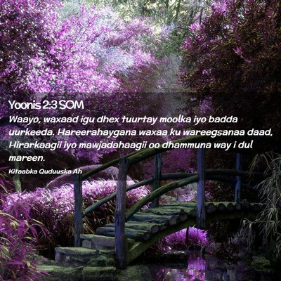 Picture 02 - Yoonis 2:3 SOM - Waayo, waxaad igu dhex tuurtay moolka iyo badda - Bible Verse Picture