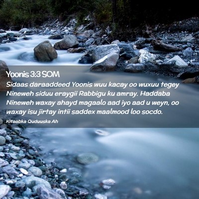 Picture 02 - Yoonis 3:3 SOM - Sidaas daraaddeed Yoonis wuu kacay oo wuxuu tegey - Bible Verse Picture