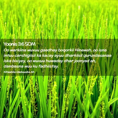 Picture 02 - Yoonis 3:6 SOM - Oo warkiina wuxuu gaadhay boqorkii Nineweh, oo - Bible Verse Picture