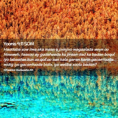 Picture 02 - Yoonis 4:11 SOM - Haddaba sow iima eka inaan u jixinjixo magaalada - Bible Verse Picture