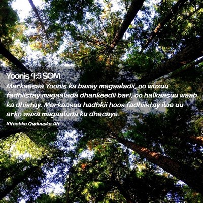 Picture 02 - Yoonis 4:5 SOM - Markaasaa Yoonis ka baxay magaaladii, oo wuxuu - Bible Verse Picture