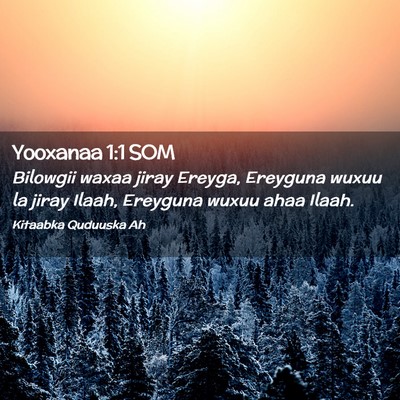 Picture 02 - Yooxanaa 1:1 SOM - Bilowgii waxaa jiray Ereyga, Ereyguna wuxuu la - Bible Verse Picture