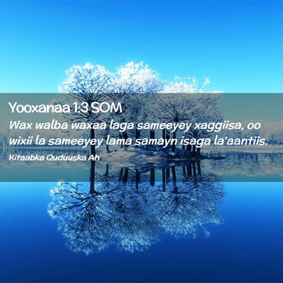 Picture 02 - Yooxanaa 1:3 SOM - Wax walba waxaa laga sameeyey xaggiisa, oo wixii - Bible Verse Picture