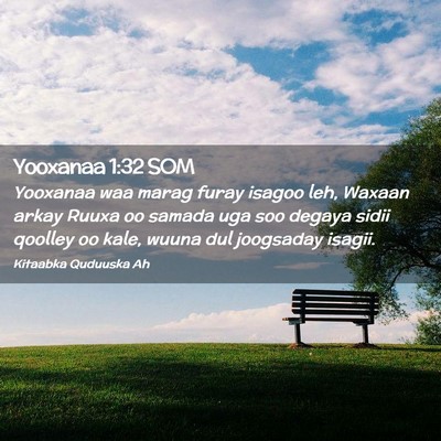 Picture 02 - Yooxanaa 1:32 SOM - Yooxanaa waa marag furay isagoo leh, Waxaan arkay - Bible Verse Picture