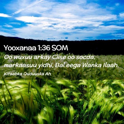 Picture 02 - Yooxanaa 1:36 SOM - Oo wuxuu arkay Ciise oo socda, markaasuu yidhi, - Bible Verse Picture