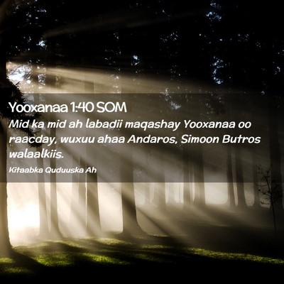 Picture 02 - Yooxanaa 1:40 SOM - Mid ka mid ah labadii maqashay Yooxanaa oo - Bible Verse Picture
