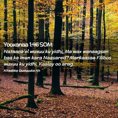 Picture 02 - Yooxanaa 1:46 SOM - Nataana'el wuxuu ku yidhi, Ma wax wanaagsan baa - Bible Verse Picture