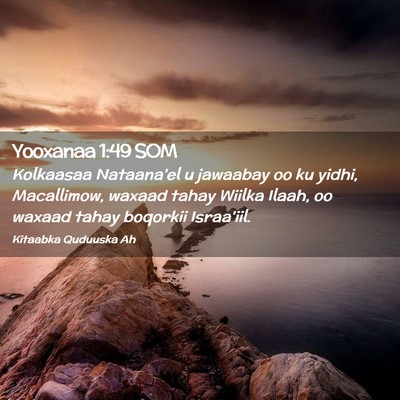Picture 02 - Yooxanaa 1:49 SOM - Kolkaasaa Nataana'el u jawaabay oo ku yidhi, - Bible Verse Picture