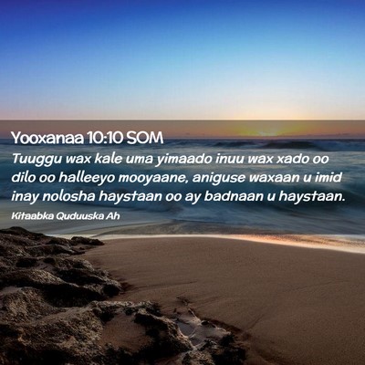 Picture 02 - Yooxanaa 10:10 SOM - Tuuggu wax kale uma yimaado inuu wax xado oo dilo - Bible Verse Picture