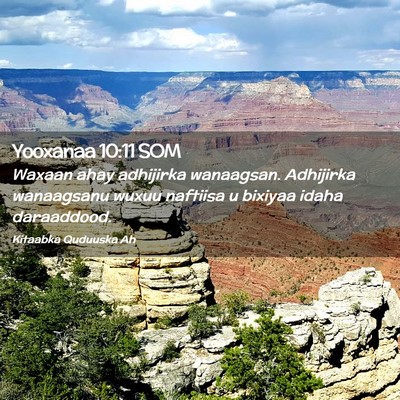 Picture 02 - Yooxanaa 10:11 SOM - Waxaan ahay adhijirka wanaagsan. Adhijirka - Bible Verse Picture
