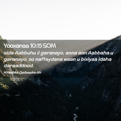 Picture 02 - Yooxanaa 10:15 SOM - sida Aabbuhu ii garanayo, anna aan Aabbaha u - Bible Verse Picture