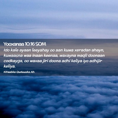 Picture 02 - Yooxanaa 10:16 SOM - Ido kale ayaan leeyahay oo aan kuwa xeradan - Bible Verse Picture