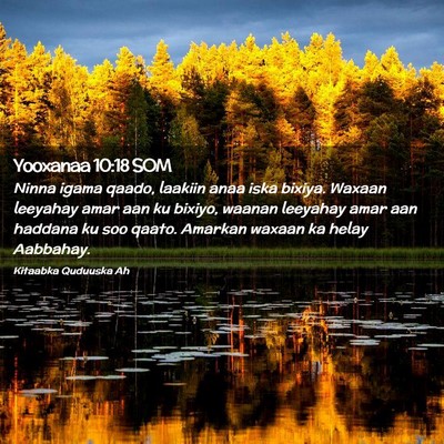 Picture 02 - Yooxanaa 10:18 SOM - Ninna igama qaado, laakiin anaa iska bixiya. - Bible Verse Picture