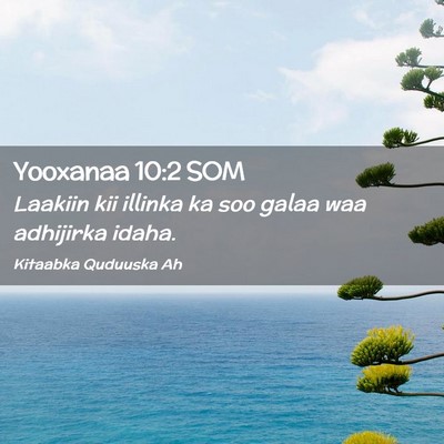 Picture 02 - Yooxanaa 10:2 SOM - Laakiin kii illinka ka soo galaa waa adhijirka - Bible Verse Picture