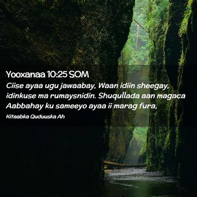 Picture 02 - Yooxanaa 10:25 SOM - Ciise ayaa ugu jawaabay, Waan idiin sheegay, - Bible Verse Picture