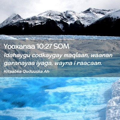 Picture 02 - Yooxanaa 10:27 SOM - Idahaygu codkaygay maqlaan, waanan garanayaa - Bible Verse Picture