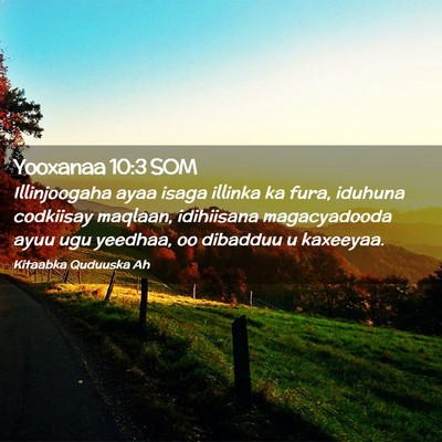 Picture 02 - Yooxanaa 10:3 SOM - Illinjoogaha ayaa isaga illinka ka fura, iduhuna - Bible Verse Picture