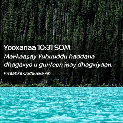 Picture 02 - Yooxanaa 10:31 SOM - Markaasay Yuhuuddu haddana dhagaxyo u gurteen - Bible Verse Picture